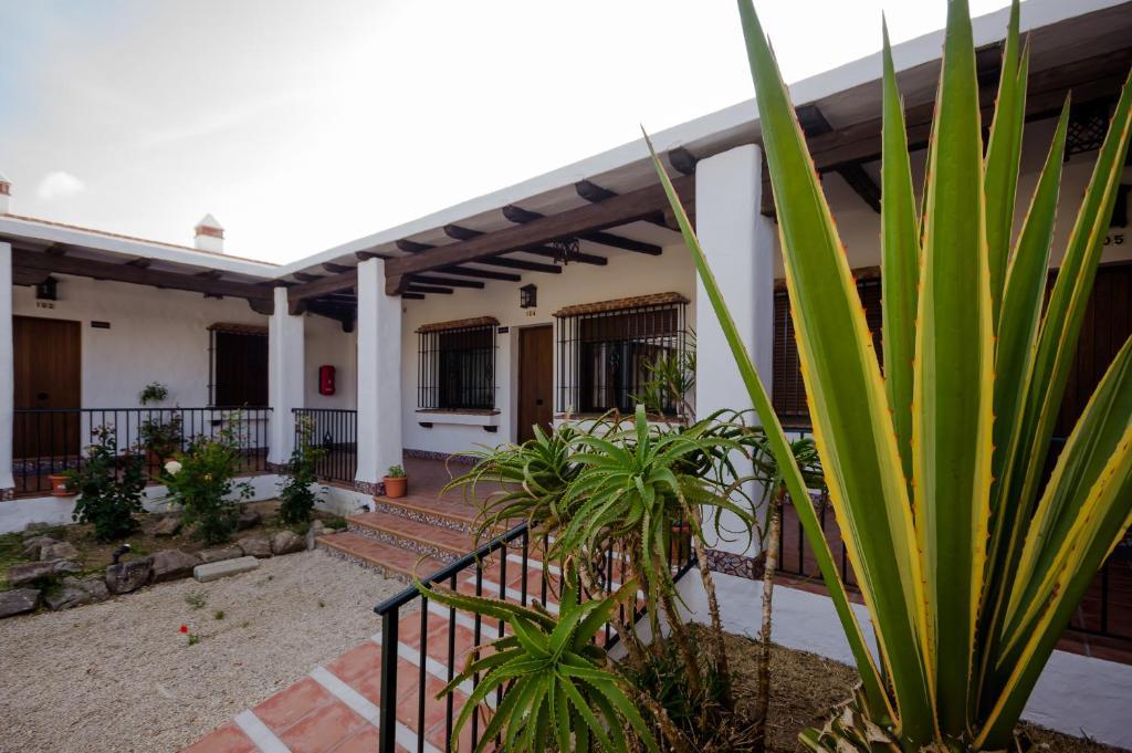 Apartament Hacienda Puerto Conil Conil De La Frontera Zewnętrze zdjęcie